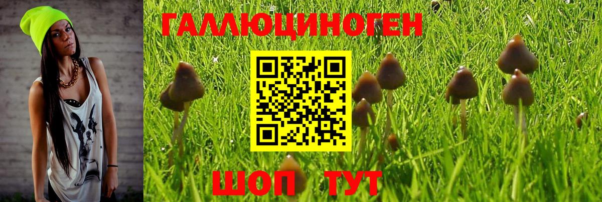 где можно купить   Галлюциногенные грибы ЛСД  Вход с VPN  Ростов Великий 
